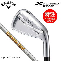 楽天市場】x forged star dg 105の通販