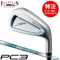 楽天市場】フォーティーン アイアン pc3の通販