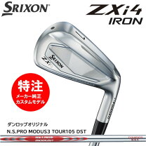 楽天市場】zx4 105 アイアンの通販