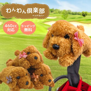 y hCo[p  wbhJo[ 460CCΉ 킢 