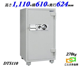 DTS110 _CZ[t  Ɩp _C ω΋ _ChZ[t    h 2ԑω