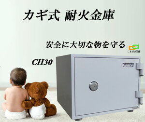 CH30-1 JMω΋ _CZ[t  ^ ƒp _ChZ[t    h V_[ 1ԑω