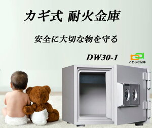 DW30-1 JMω΋ _CZ[t  ^ ƒp _ChZ[t    h