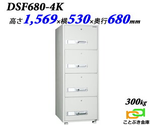 t@COLrlbg JM ω Lrlbg DSF680-4K _CZ[t B4t@C[  Ɩp    h 1ԑω