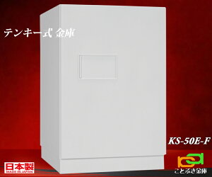 KS-50E-F {ACGXPC {  ƒp eL[ ω΋ LO NE    h 1ԑω