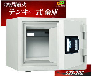 STJ-20E {ACGXPC {  eL[ ω΋ LO NE ƒp ƖpƂĐlC    h 2ԑω