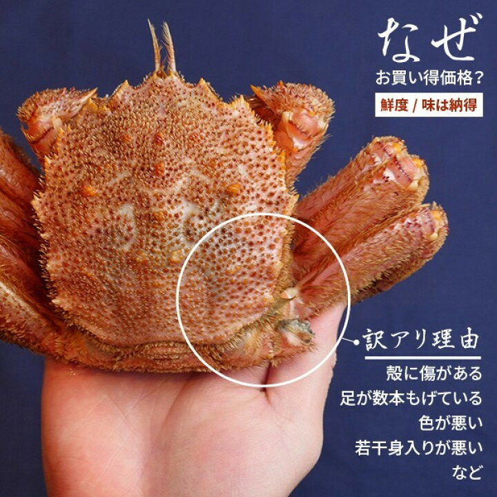 楽天市場】送料無料 毛ガニ カニ 訳あり 300g〜400g 前後 3尾 北海道産 