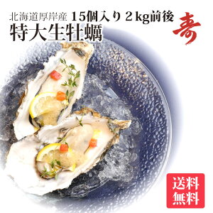 y kt y JL kC  } 󏭂ȓ3LTCY(1150g) 15H    Mtg  j Ԃ 