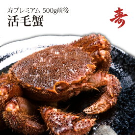 ギフト 毛ガニ カニ 500g 前後 北海道産 冷蔵 毛蟹 毛がに 内祝い お返し 活茹で選択可