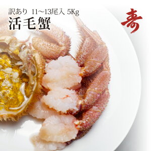  уKj Jj 󂠂 5kg O 11`13 kCY ① т I I hg 䥂őI