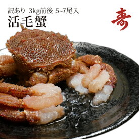 毛ガニ カニ 訳あり 3kg 前後 5〜7尾 北海道産 冷蔵 毛がに 蟹 活蟹 刺し身 活茹で選択可
