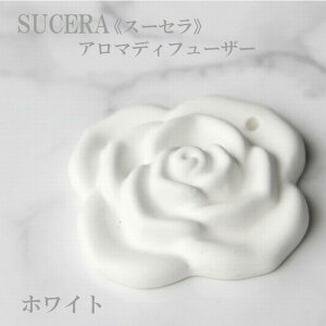 A}fBt[U[ SUCERA o zCg Mtg 蕨 Z  SDGs TXeBiu EvX`bN Y { gуA}fBt[U[  Ȃ y_ggbv XN