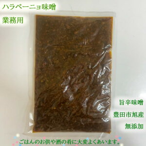 LcsY yƖpn؁[jX Y 500gz X ny[j |hX YX ͂̂ ̍ hq hq Ƃ炵 jalapeno miso hotmiso yXIXXz