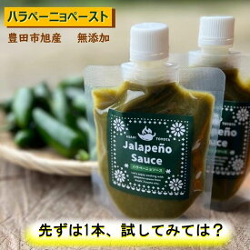 豊田市旭産 ハラぺーニョソース 無添加 140g ハラペーニョ ホットソース 無添加ホットソース スパウトパック 薬味 タバスコ 唐辛子 青唐辛子 とうがらし jalapeno 岩塩 リンゴ酢【当店オススメ】