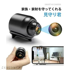 �y SALE�z���^�J���� �h�ƃJ���� �����ǐ� WiFi ���^ �X�}�z �~�j�J���� �y�b�g�J���� iphone�Ή� �����J���� �x�r�[�J���� ���掿 ��ԎB�e �i�C�g�r�W���� ���A���^�C�� ���O ���C�����X �H