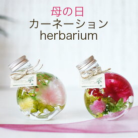 楽天市場 母の日ギフト カーネーション 送料無料の通販