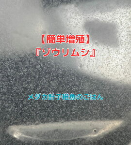 yzy]EV z_J _J̉a jq t a a GT ނ ݂ N ߂ q_J ̊ۃ_J Mы ANAE _J ~WR PSB I`