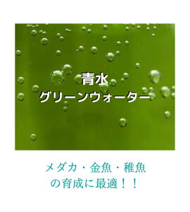yz O[EH[^[ t _J   |{ 琬Mы  N -ANAE -~WR PSB I`_J ݂䂫_J Tt@CA_J