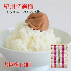 IBI嗱~10 p~ ~ ݂͂ 8 4L I p IB썂~ ~ ~ ~ڂ ߂ڂ Ɖu Ɖu a̎R ƘH̔~ ɂ т̂