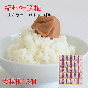 IBI嗱~15 p~ ~ ݂͂ 8 4L I p IB썂~ ~ ~ ~ڂ ߂ڂ Ɖu Ɖu a̎R ƘH̔~ ɂ т̂