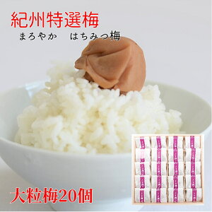 IBI嗱~20 p~ ~ ݂͂ 8 4L I p IB썂~ ~ ~ ~ڂ ߂ڂ Ɖu Ɖu a̎R ƘH̔~ ɂ т̂
