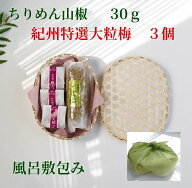 ちりめん山椒 30g大粒梅3個 京都 無添加 ご飯のお供 ちりめん 山椒 佃煮 紀州特選梅 南高梅 ふりかけ お…