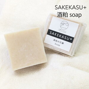 𔔂̖YΌ100g sakekasu+ I[uICz q  ێ ƂΌ 𔔃p[ ґXLPA q   Sg  Ό Ō`Ό Mq̍