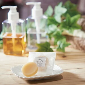 mTERRA BLANCn𔔔zeΌ 80/15g Ό nx[X ێ VJ {^jJVJ  gc Ď𔔎gp { ьꗎƂ Ό i` ΂ 