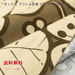 IbNXn Remo IW O[ ubN x[W 150cmx50cm  啿 vg Ch Rbg  ؂蔄 