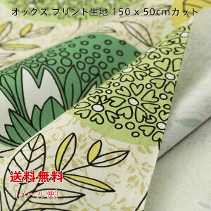 IbNXn Pavitt O[ O[ sN x[W 150cmx50cm  啿 vg Ch Rbg  ݃J[ ؂蔄 