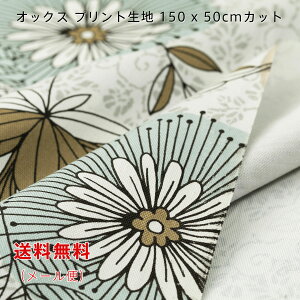 IbNXn Pavitt O[ O[ sN x[W 150cmx50cm  啿 vg Ch Rbg  ݃J[ ؂蔄 