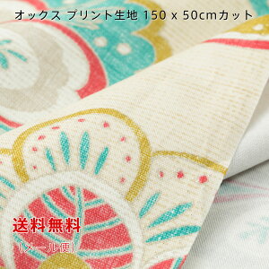 IbNXn Kirk sN uE ubN 150cmx50cm  啿 vg Ch Rbg  ؂蔄 