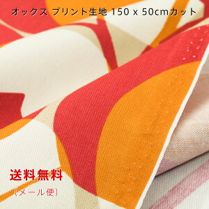 IbNXn Nicol CG[ u[ bh 150cmx50cm  啿 vg Ch Rbg  ؂蔄 