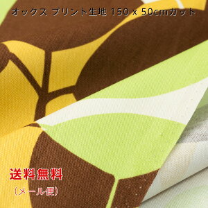 IbNXn Nicol CG[ u[ bh 150cmx50cm  啿 vg Ch Rbg  ؂蔄 