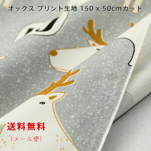IbNXn heji! O[ ^[RCY sN x[W 150cmx50cm  啿 vg Ch Rbg  ̎q j̎q ؂蔄 