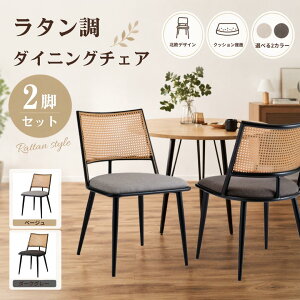 Retro - Modern ラタン調 ダイニングチェア (Dark Gray) – KANADEMONO 