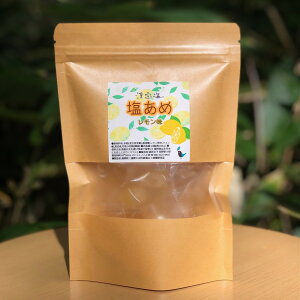 レモン塩飴 あめ 海塩 岩塩 ミネラル お菓子 おやつ 塩 しお 塩あめ 漢宝塩 縄文塩 コトノハ工房