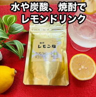 強烈レモン塩 80gしお ミネラル 酸っぱい 酸味 漢宝塩 かんぽうえん さっぱり 夏バテ レモン 微量ミネラ…