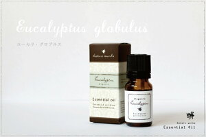 uL@[J OuXvI[KjbNF؍ρy@Ղ10ml̂TCY@zy[։z