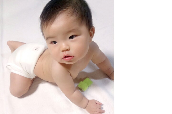 楽天市場】日本製「ウールネルおむつカバー」【50〜60 cm】1枚単品 