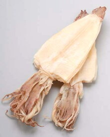 楽天市場 剣先するめの通販