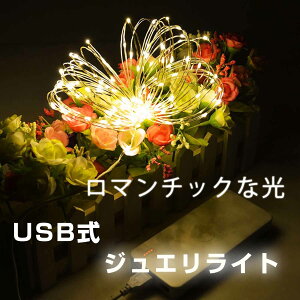 LEDC~l[V WG[Cg USB 10m 100 ɍ׃C[ h NX}X a p[eB[ O fR[V c[ led   Cxg _ d    