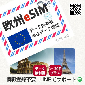 eSIM [bp [ B 31 EU  g vyChSIM f[^p ĝSIM f[^ʐMsim  4G/LTEΉ K s o ό