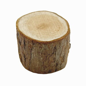 k CeA G NORDIKA nisse (mfBJ jbZ) yۑz d XEF[f   u l`