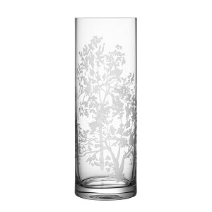 ガラス シリンダー 花瓶 通販 価格比較 価格 Com ガラス シリンダー 花瓶 通販 価格比較 価格 Com