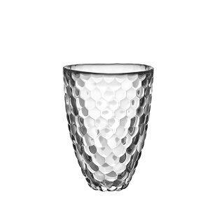 k CeA G yOrreforszItHX RASPBERRY t[x[X S / ԕr kfUC Vv KX  Yx[