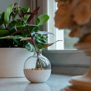 k CeA G SKULTUNA (XNci) POMME t[x[XLhz_[M No.651M / ֑} Mtg ԕr kfUC Vv X^CbV IuWF CeA ^J