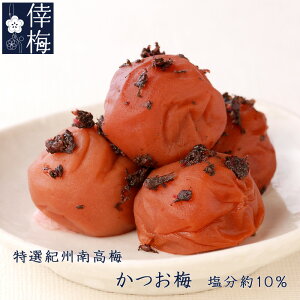 pbN@IIB썂~@~@400gi200g×2jya̎RYzy~zyyMt_zyyMt_̂z