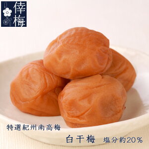 pbN@IIB썂~@~@400gi200g×2jya̎RYzy~zyyMt_zyyMt_̂z