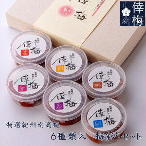 IIB썂~@~ʂZbg@80g×6ya̎RYzy~zyyMt_zyyMt_̂z